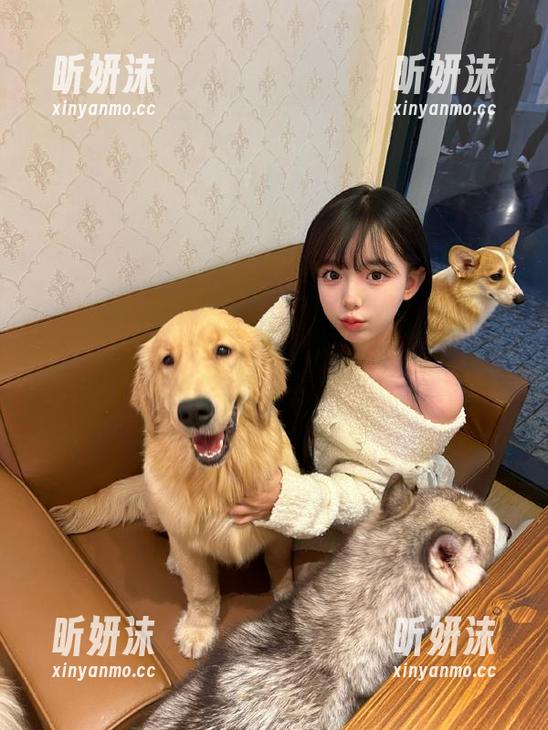 喵糖映画 白色婚纱魅力不容错过,喵糖映画更新推出独家写真合集