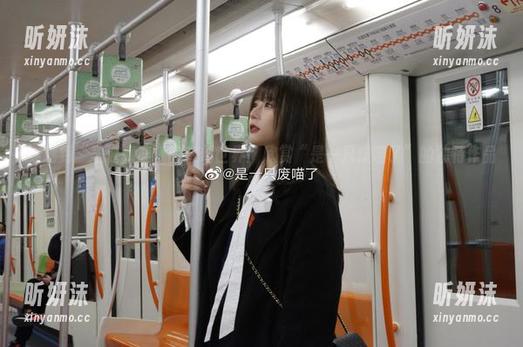 穿越到“圣诞麋鹿”的奇幻世界：欣赏“是一只废喵了”的独特作品图片