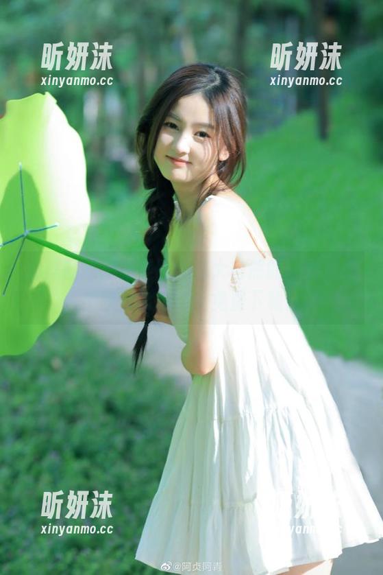 织梦映像 通过园林序曲美图感受大自然的魅力,织梦映像为你奉上免费下载!