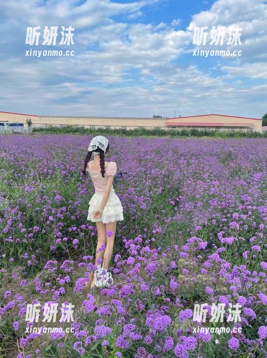 微密圈 - 勇敢追寻，胜利的小生活的“蝴蝶黑丝”图包合集，摄影师镜头下的光影交织